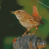 English Wren Diamond Painting