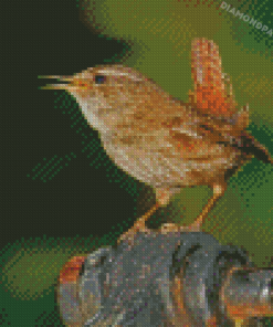 English Wren Diamond Painting