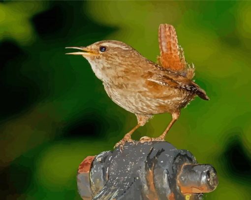 English Wren Diamond Painting