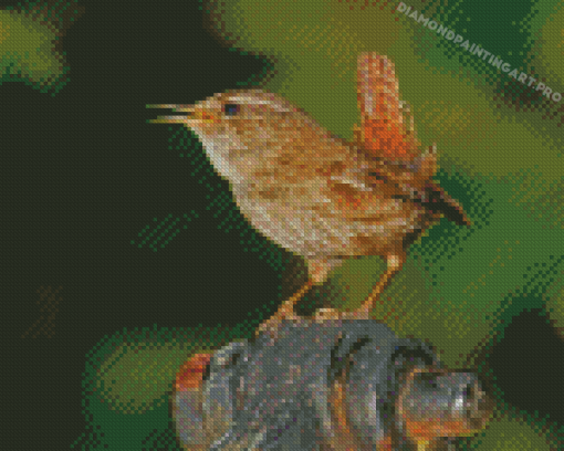 English Wren Diamond Painting