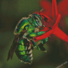 Euglossa Bazinga On Red Flower Diamond Painting