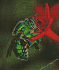 Euglossa Bazinga On Red Flower Diamond Painting