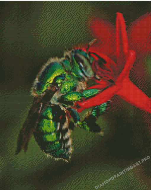 Euglossa Bazinga On Red Flower Diamond Painting