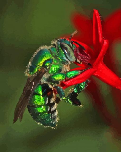 Euglossa Bazinga On Red Flower Diamond Painting