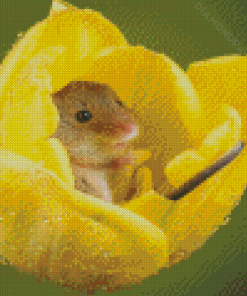 Field Mouse In Yellow Flower Diamond Painting