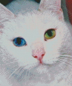 Green And Blue Eyed Cat Diamond Painting