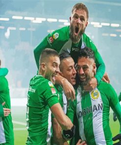 Hammarby Fotboll Team Players Diamond Painting