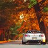 Honda S2000 Autumn Diamond Painting