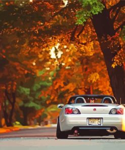 Honda S2000 Autumn Diamond Painting