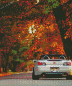 Honda S2000 Autumn Diamond Painting