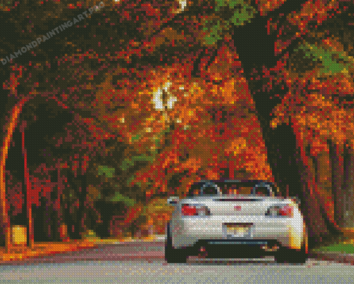 Honda S2000 Autumn Diamond Painting