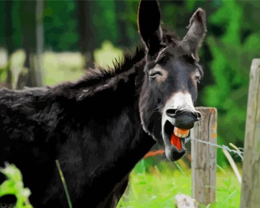 Laughing Donkey Diamond Painting