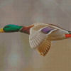 Mallard Ducks With Green Head Flying Diamond Painting