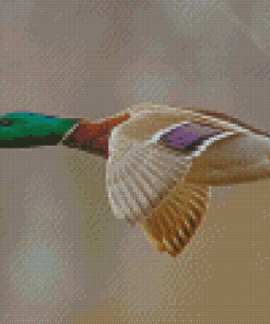 Mallard Ducks With Green Head Flying Diamond Painting