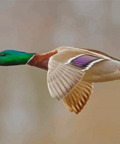 Mallard Ducks With Green Head Flying Diamond Painting