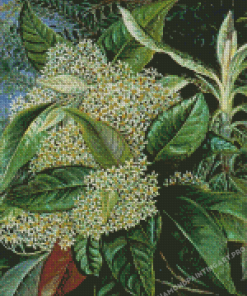 Olearia Argophylla Marianne North Diamond Painting