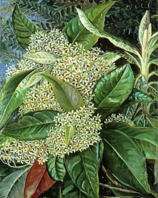 Olearia Argophylla Marianne North Diamond Painting