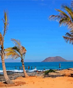 Palm Trees In Fuerteventura Diamond Painting