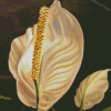 Peace Lily Diamond Painting