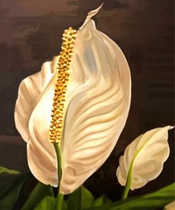 Peace Lily Diamond Painting