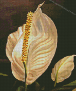 Peace Lily Diamond Painting