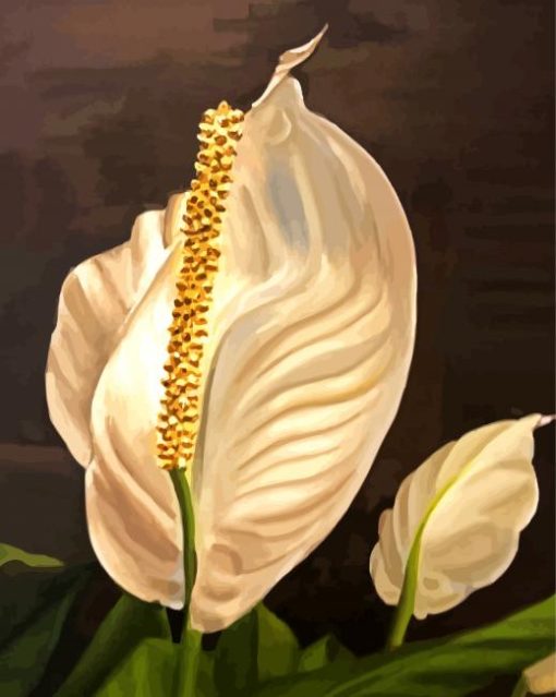 Peace Lily Diamond Painting