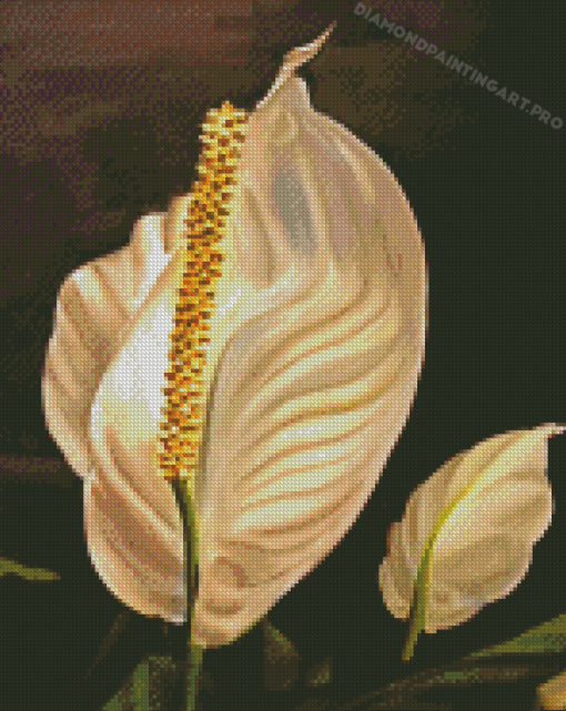 Peace Lily Diamond Painting