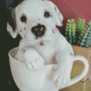 Teacup Puppy Diamond Painting