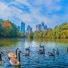 Piedmont Park Atlanta Georgia Diamond Painting