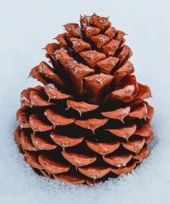 Pinecone In Snow Diamond Painting