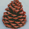 Pinecone In Snow Diamond Painting