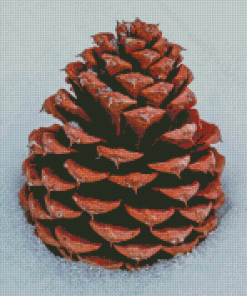 Pinecone In Snow Diamond Painting