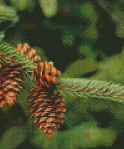 Pinecone In The Tree Diamond Painting