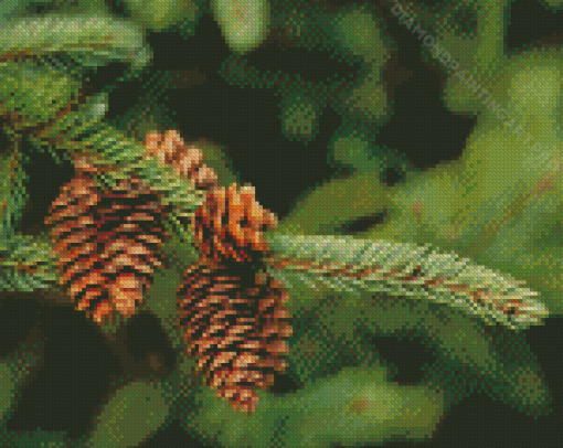 Pinecone In The Tree Diamond Painting