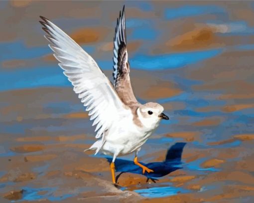 Piping Plover Bird Diamond Painting