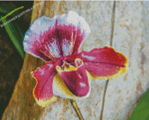 Purple Lady Slipper Diamond Painting