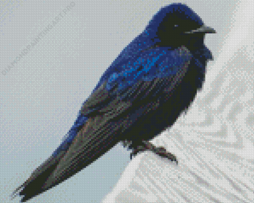 Purple Martin Diamond Painting