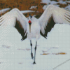 Red Crowned Crane Diamond Painting