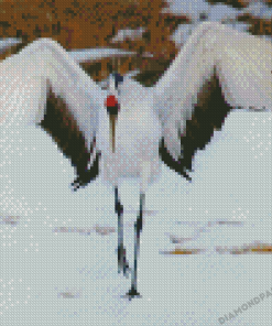 Red Crowned Crane Diamond Painting