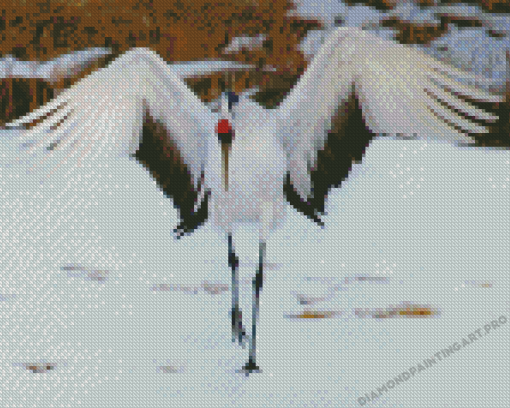 Red Crowned Crane Diamond Painting