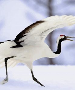 Red Crowned Crane Bird Diamond Painting