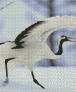 Red Crowned Crane Bird Diamond Painting