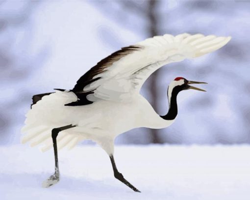 Red Crowned Crane Bird Diamond Painting