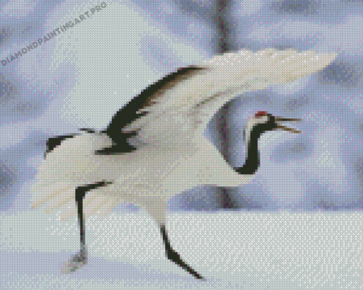 Red Crowned Crane Bird Diamond Painting