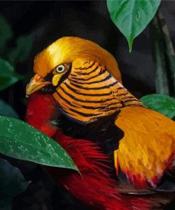 Red Golden Pheasant Diamond Painting