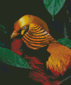 Red Golden Pheasant Diamond Painting