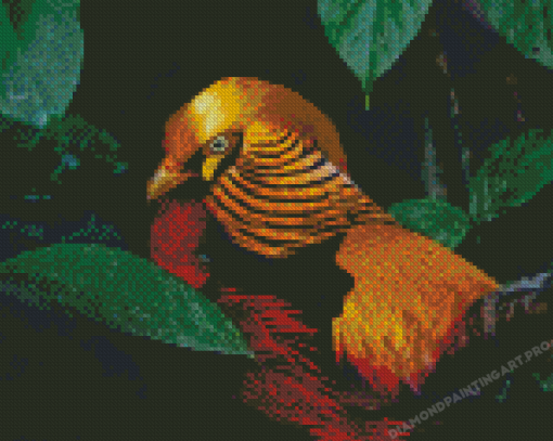 Red Golden Pheasant Diamond Painting