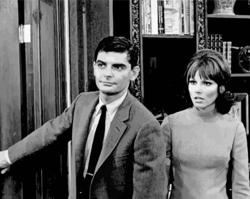 Richard Benjamin And Paula Prentiss Diamond Painting