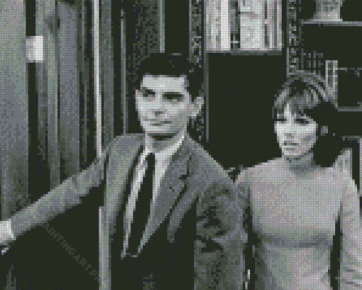 Richard Benjamin And Paula Prentiss Diamond Painting