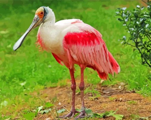 Roseate Spoonbill Diamond Painting